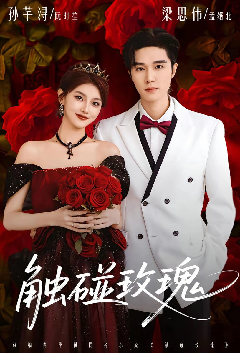 触碰玫瑰（凌晨四点半）玫瑰花未眠