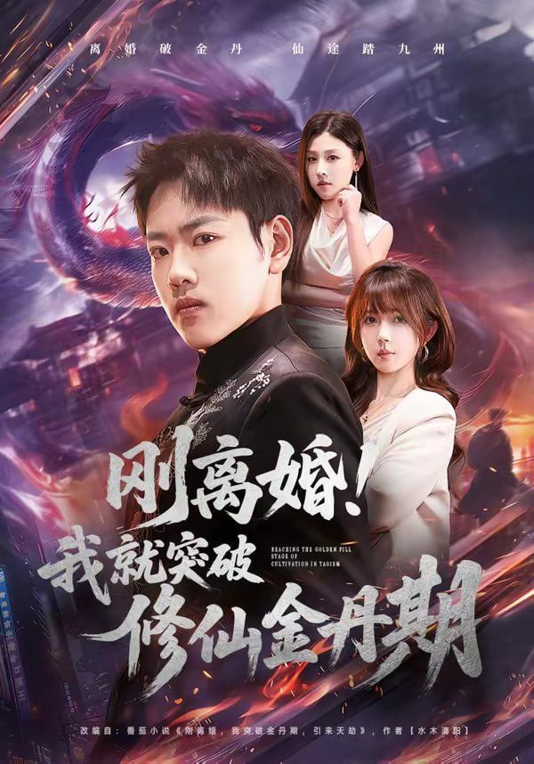 刚离婚！我就突破修仙金丹期